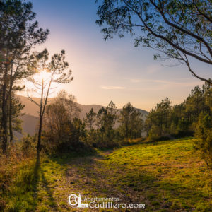 Interior del concejo de Cudillero montaña en Cudillero, bosques en Asturias , excursión en Cudillero, Turismo Asturias, San Roque el Picu